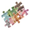 RealBanknotes
