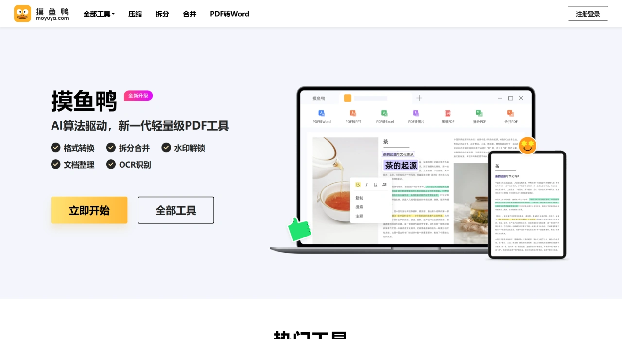 摸鱼鸭(图1)